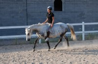 /album/bildgalleri/a1097082-10151802570122863-1911583330-o-jpg/