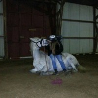 /album/bildgalleri/a13164-802420533152981-8146286267027154144-n-jpg/