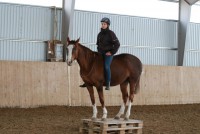 /album/bildgalleri/a45325-445936685468036-1338402020-n-jpg/