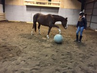 /album/bildgalleri/a10422395-834880389906995-168174854113775171-n-jpg/