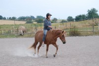 /album/bildgalleri/a10924184-836221596439541-458653714215887650-o-jpg/