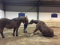 /album/bildgalleri/a11052857-858243010904066-2319089128272379222-n-jpg/